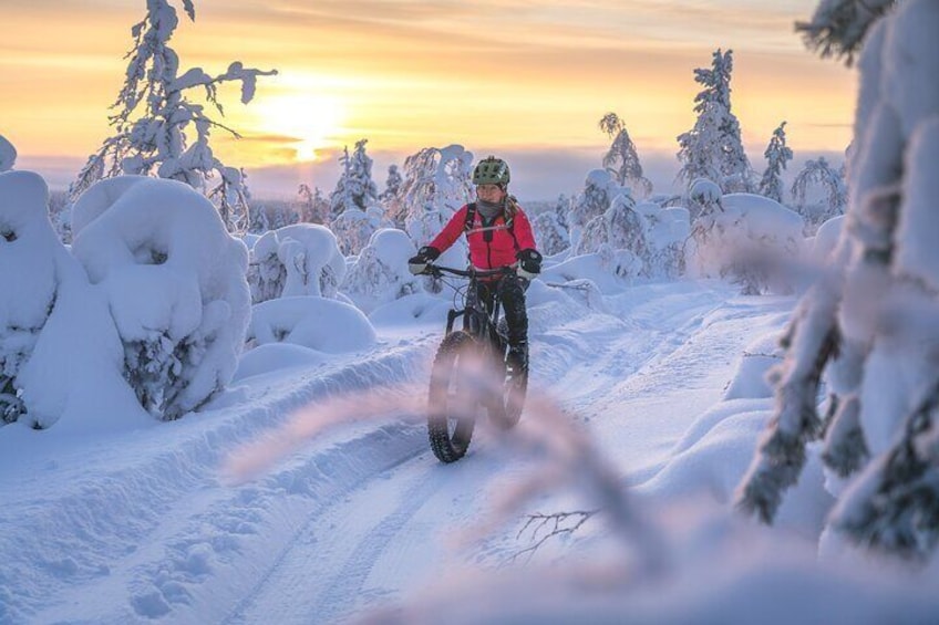 We start from Saariselkä village center, but the trails dive deep into the beautiful forests around. 