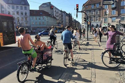3 Hour Private Guided Copenhagen Biking Experience