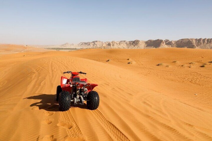 Private Tour Desert Safari in Al Thumama from Riyadh