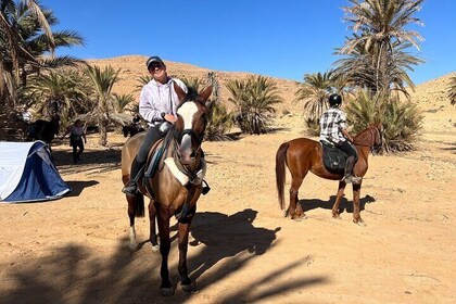 El auténtico Tozeur a caballo con traslado privado