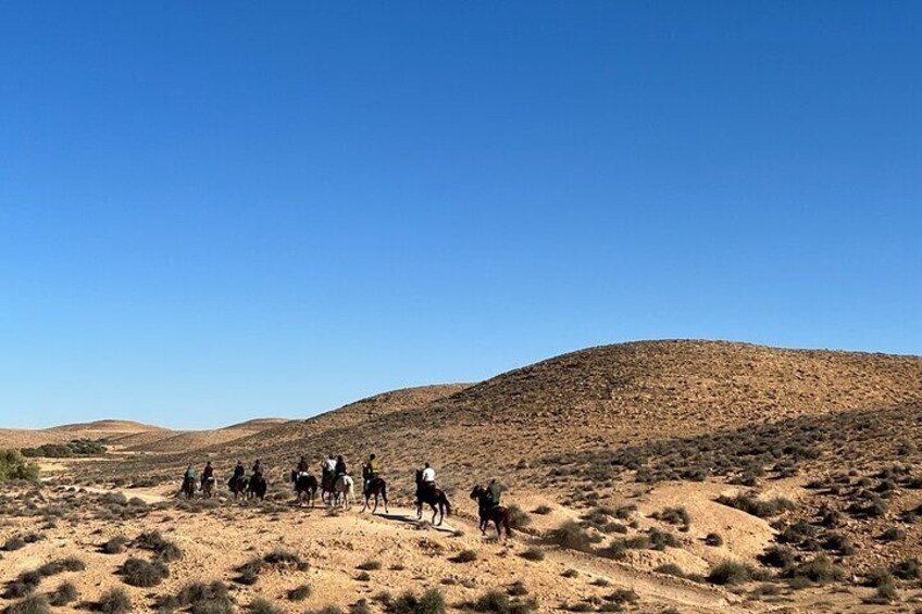 the authentic Tozeur on horseback