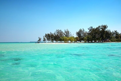 Private Tour Addu Discovery: Culture, Nature & Kayaking Adventure