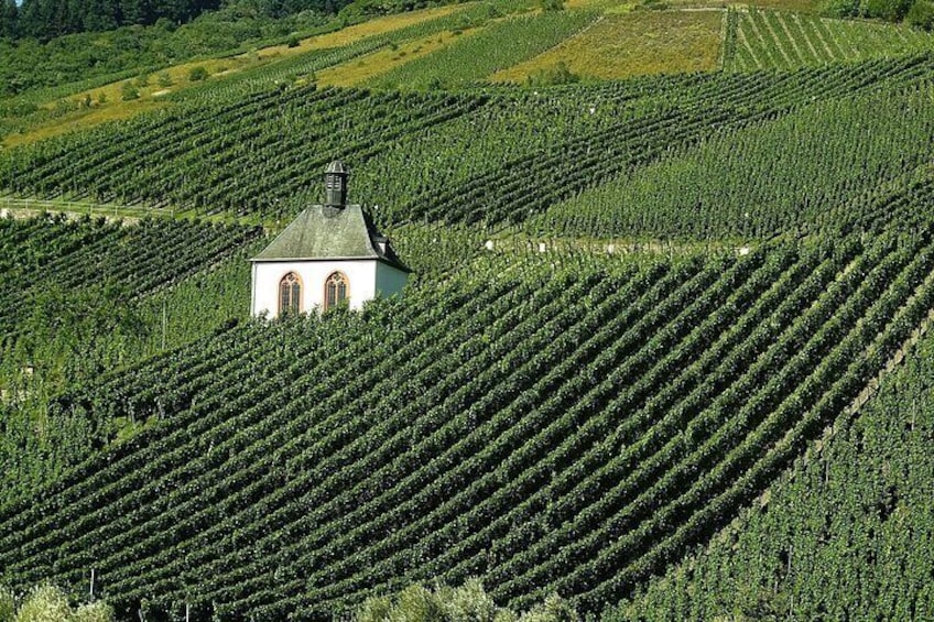 Private Tour to The Vineyards of Etyek