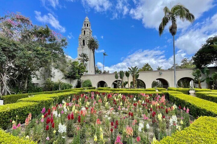 Beautiful flowers and architecture at Balboa Park!