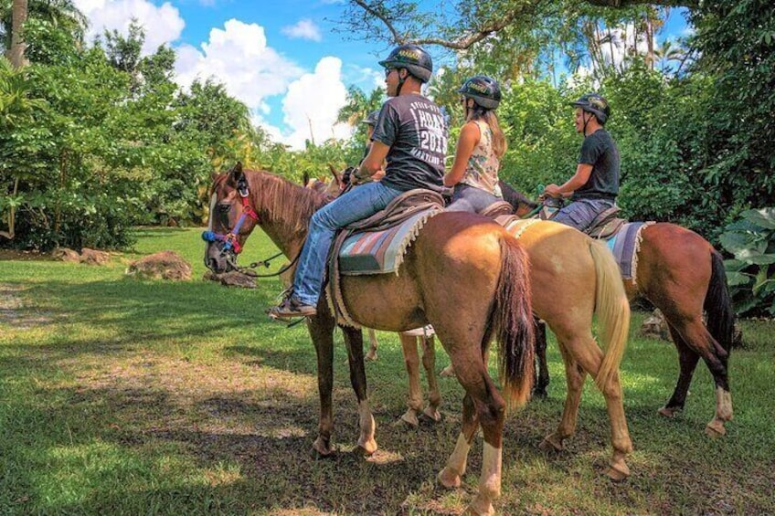 One Hour Horseback Riding at El Yunque Rainforest