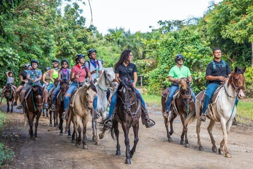  Horseback Riding at El Yunque Rainforest