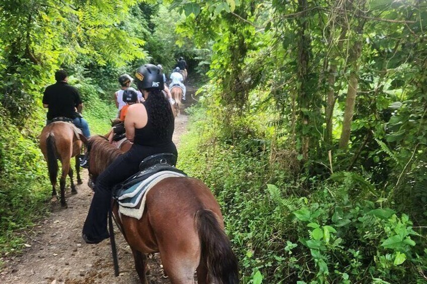 El Yunque Rainforest Puerto Rico Horseback Riding 