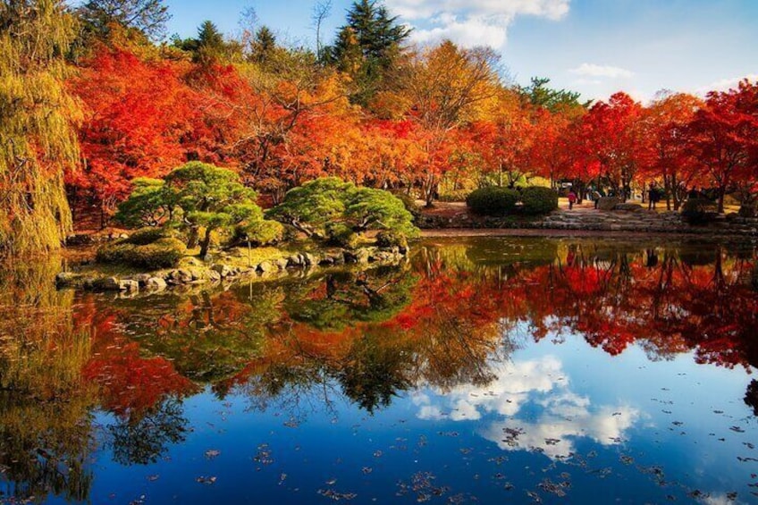 Private Tour Gyeongju Highlights Full-Day from Busan