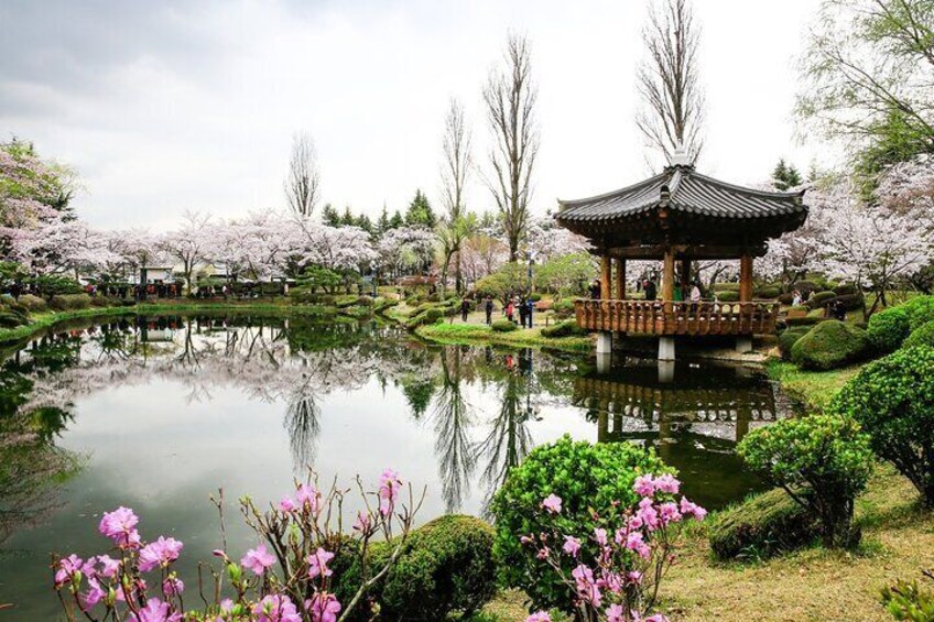 Private Tour Gyeongju Highlights Full-Day from Busan