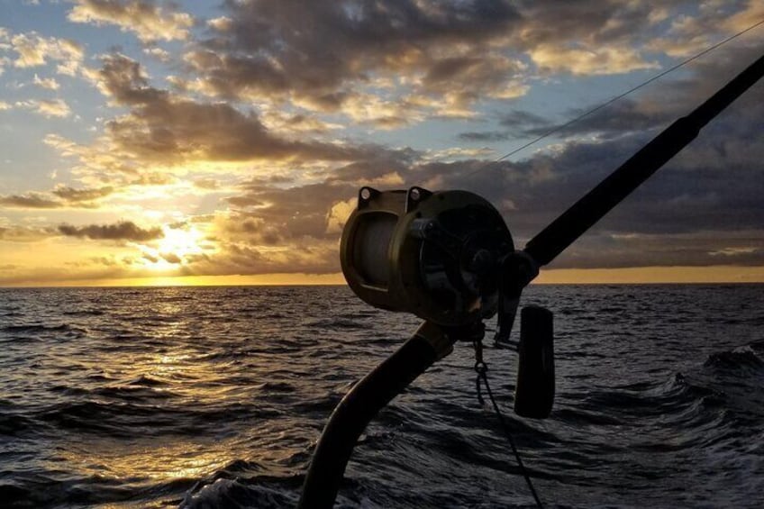 6 Hour Private Fishing Charter Kona, Hawaii