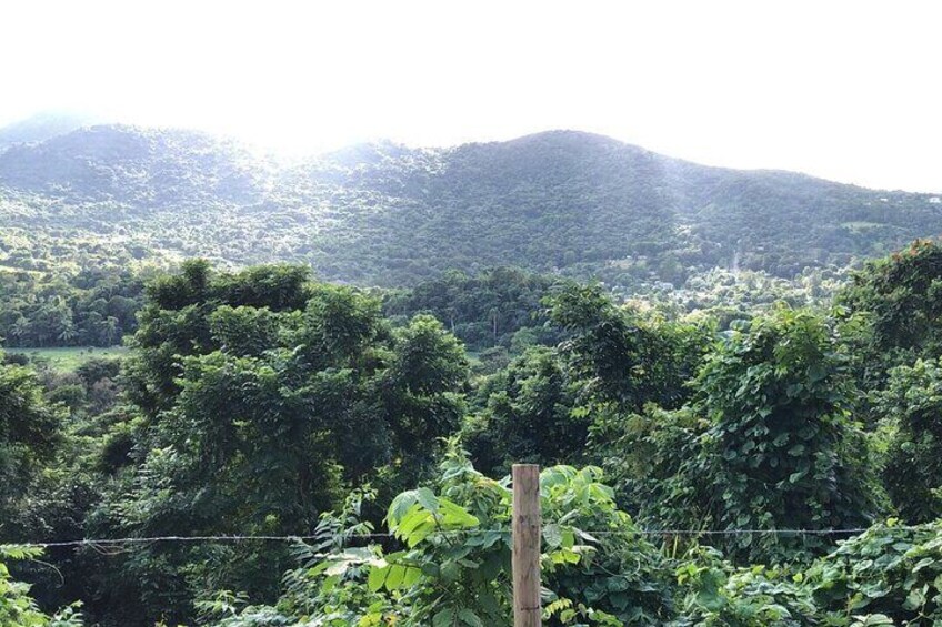 El Yunque Rainforest Puerto Rico ATV Adventure 