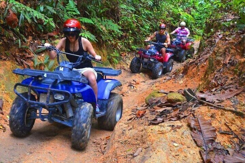 El Yunque Rainforest — ATV Adventure 