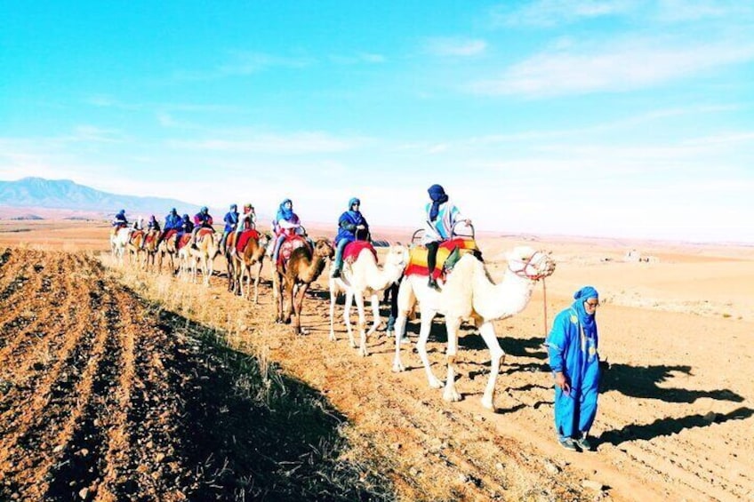 Sunset Dinner Show and Camel Ride in Agafay Desert 
