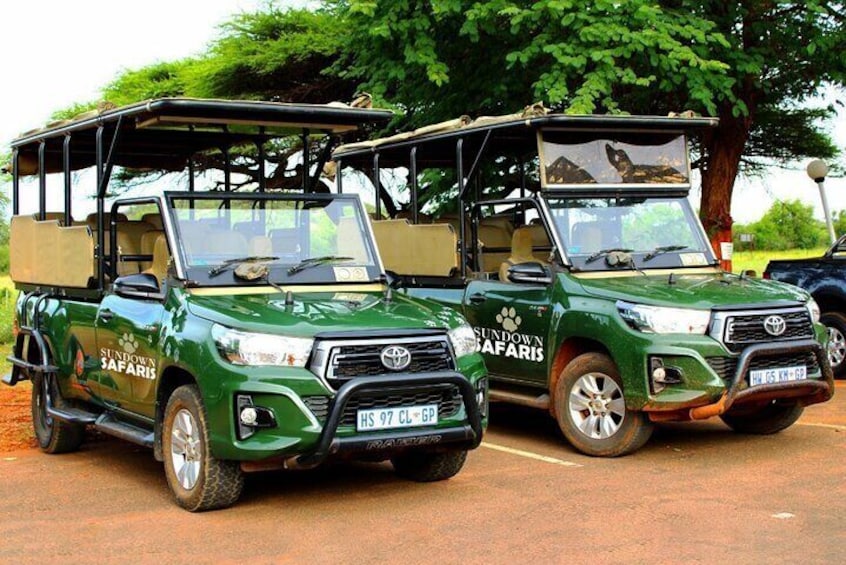 3-Hour Scheduled Safari Game Drive in Pilanesberg National Park