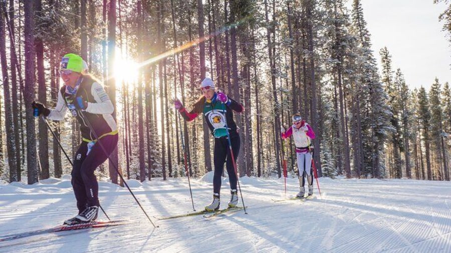 Guided Cross Country Skiing at Lake Tahoe