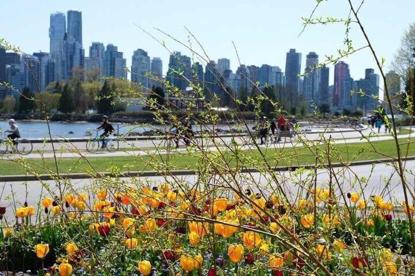 Vancouver Hop On Hop Off Trolley Tour