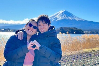 Private Mount Fuji and Hakone City Tour from Tokyo