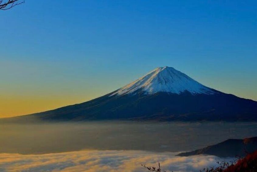 Private Mount Fuji and Hakone City Tour from Tokyo