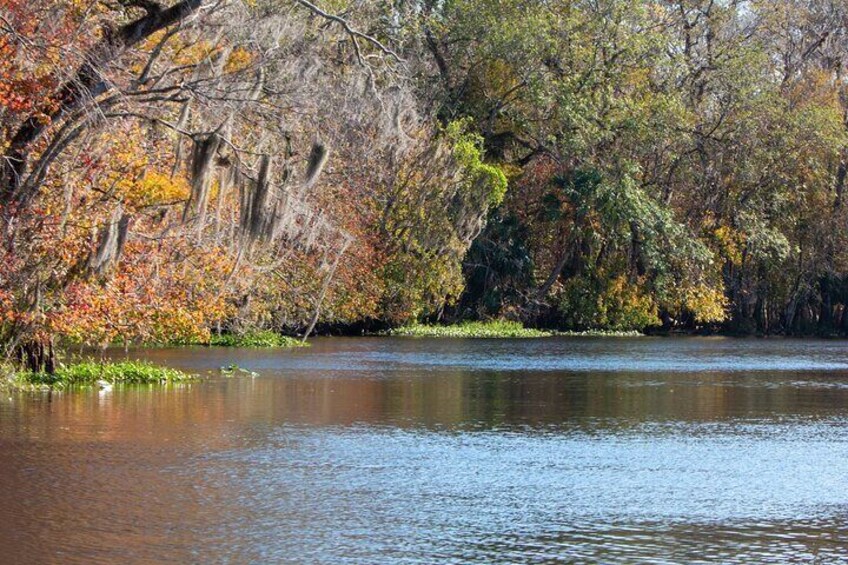  St. Johns River Nature Cruise at Blue Spring State Park 