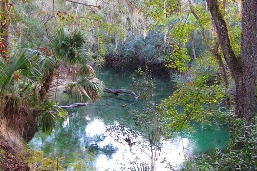  St. Johns River Nature Cruise at Blue Spring State Park 