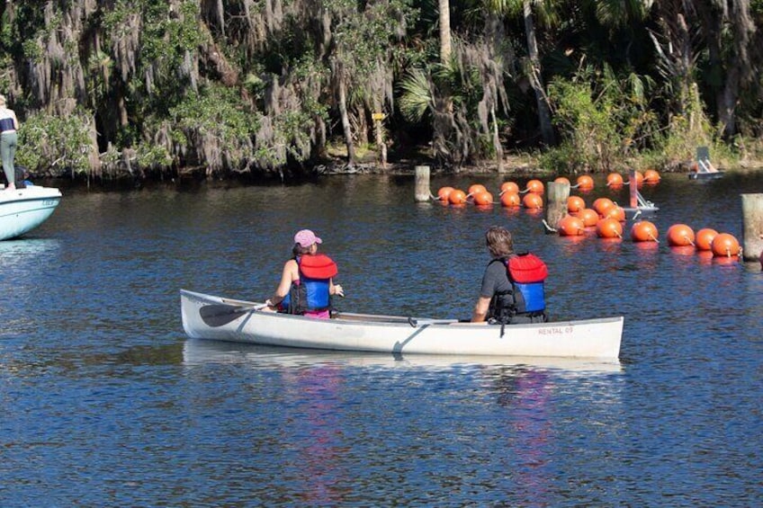 St. Johns River Nature Cruise at Blue Spring State Park