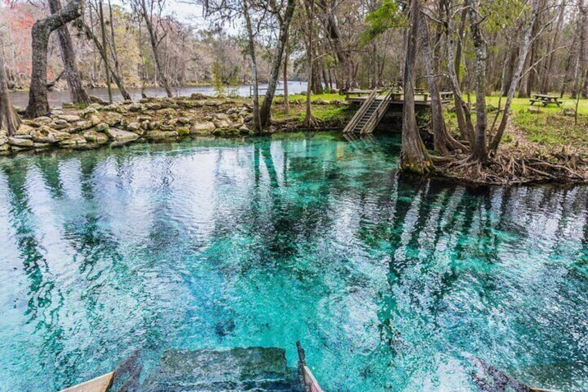 St. Johns River Nature Cruise at Blue Spring State Park