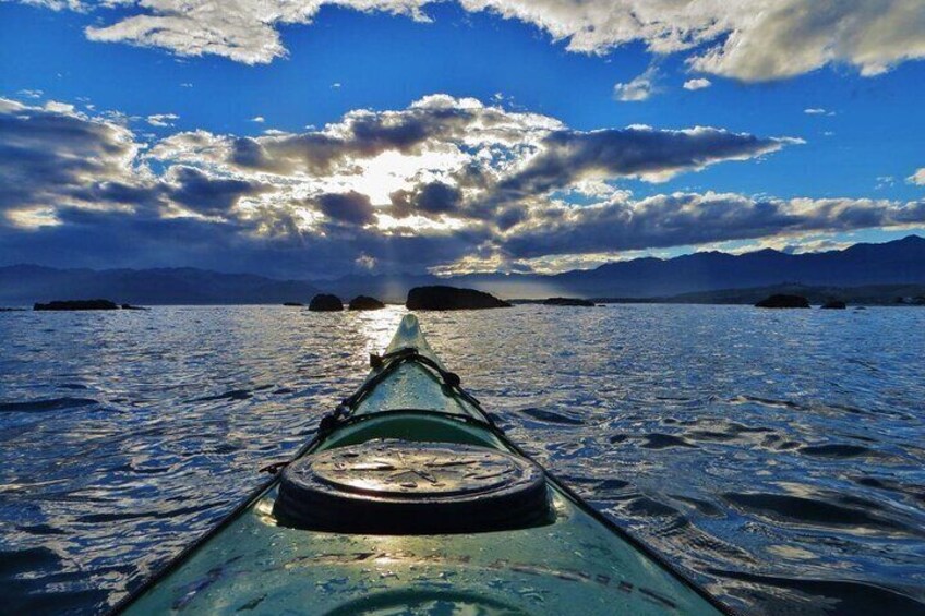 Kaikoura Day Tour With Kayak Experience From Christchurch