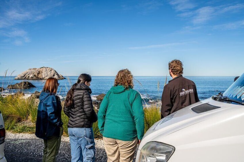 Kaikoura Day Tour With Kayak Experience From Christchurch