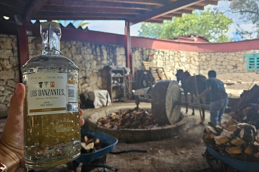 Mezcal Day Premium Family Distilleries Tour with Lunch in Fields