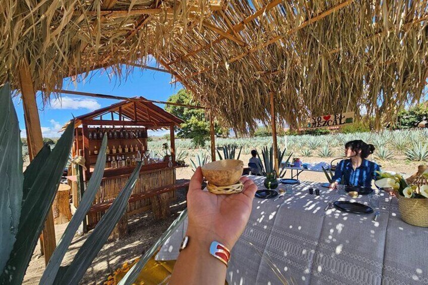 Mezcal Day Premium Family Distilleries Tour with Lunch in Fields
