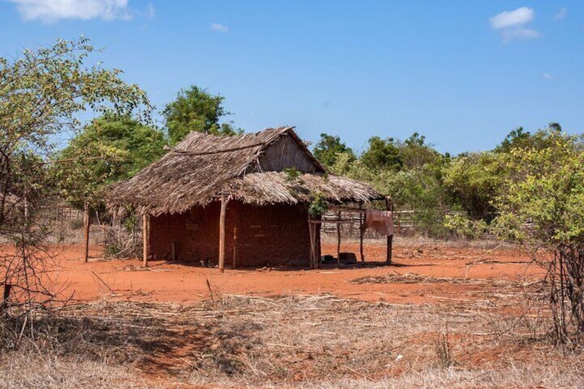 Local house