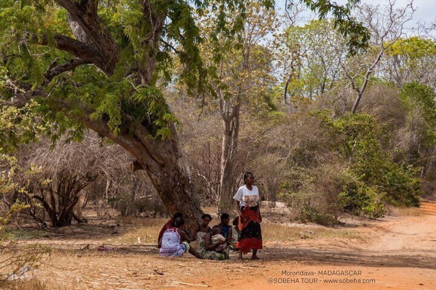 Malagasy Typical life