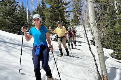 Privately Guided Snowshoe Experience