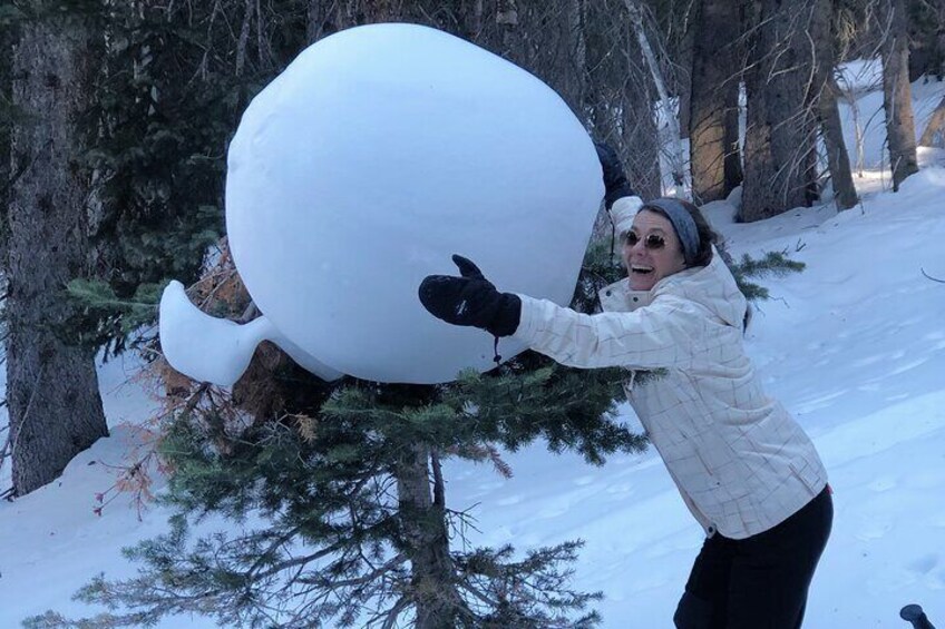 Find your perfect snowball!