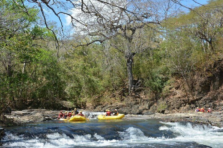 White Water Rafting: Class III and IV on The Tenorio River