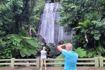 El Yunque National Forest - The Road 191 Corridor - Half Day Tour