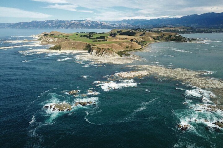 Kaikoura Day Tour With Dolphin Encounter From Christchurch