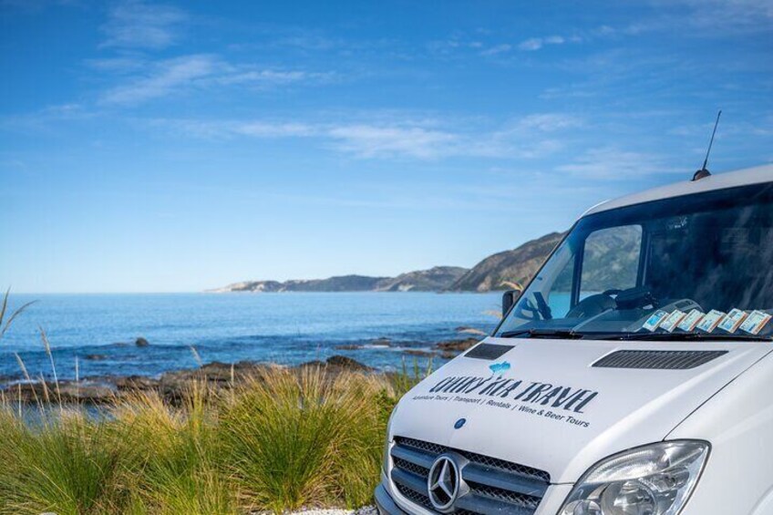 Kaikoura Day Tour With Dolphin Encounter From Christchurch