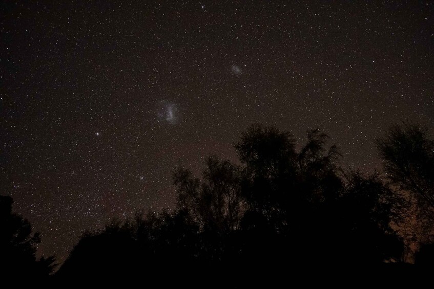 Picture 5 for Activity From Akaroa: Stargazing Experience