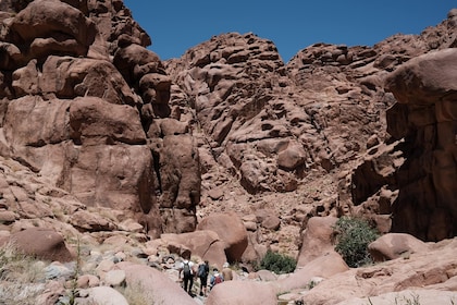 Porto di Sharm: Tour privato del Monte Sinai e del Monastero di Santa Cater...