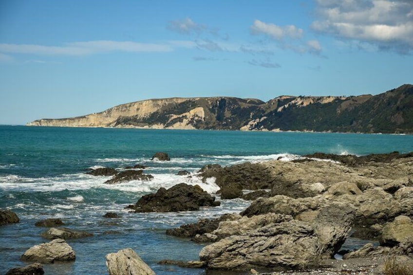 Kaikoura Day Tour with Whale Watching From Christchurch