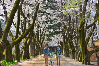 Seoul: Nami and Petite France Tour with Optional K-Garden
