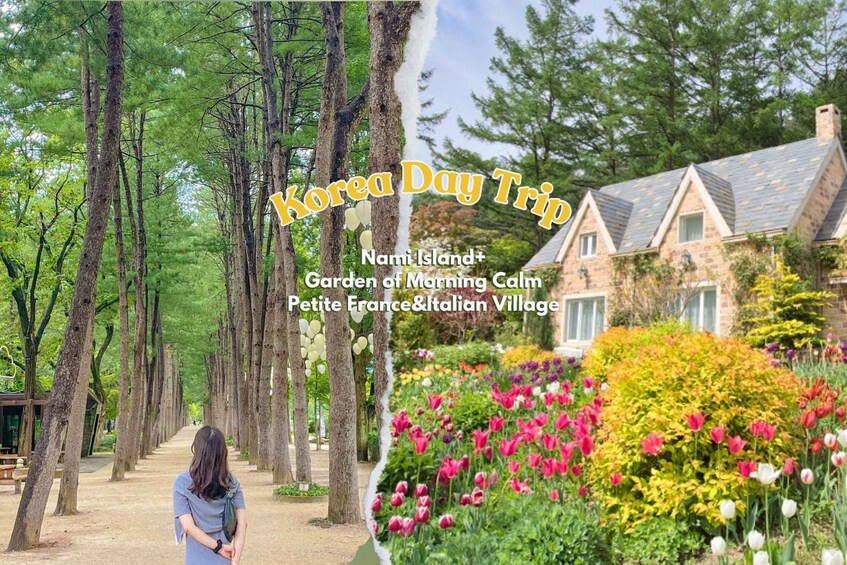 Seoul: Nami and Petite France Tour with Optional K-Garden