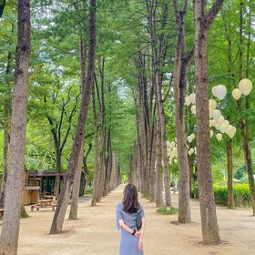 Seoul: Nami and Petite France Tour with Optional K-Garden