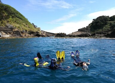 Vila Franca do Campo: Snorkelling Tour