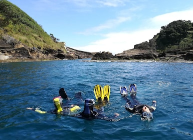 Vila Franca do Campo: Snorkeling Tour