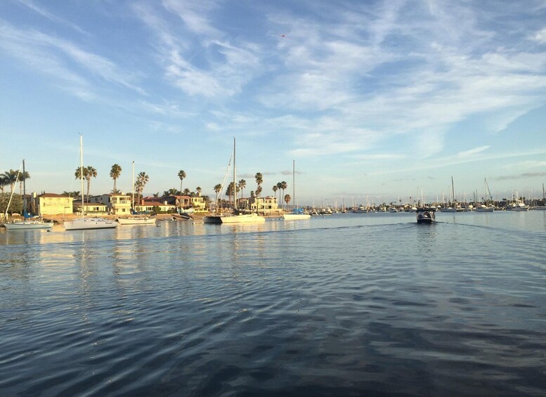 Picture 1 for Activity Newport Beach: Electric Boat Rental