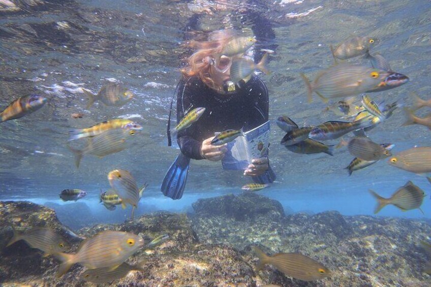 Stand up Paddle and Snorkeling lesson in Playa Blanca