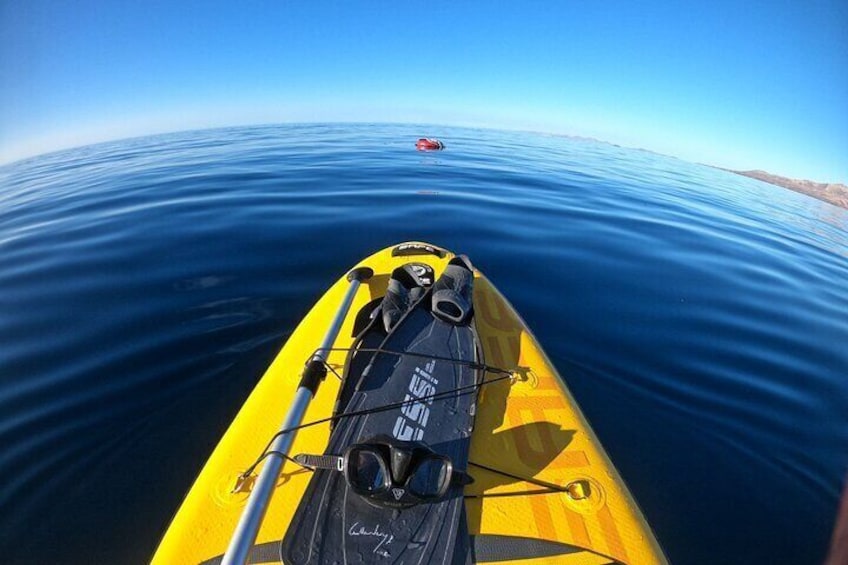 Stand up Paddle and Snorkeling lesson in Playa Blanca