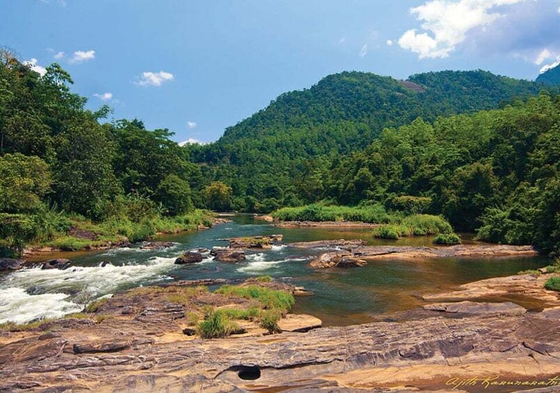 Picture 4 for Activity Canyoning Adventure in Kithulgala